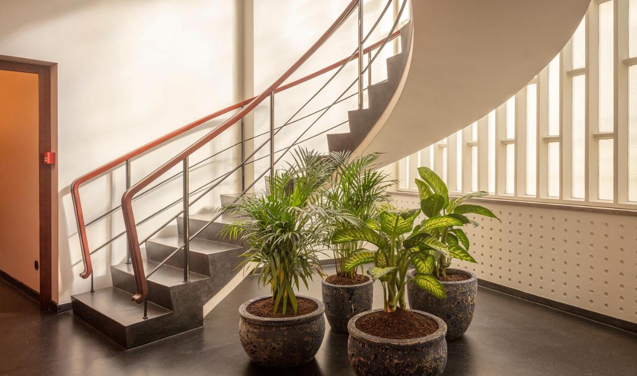 Ceuta Terrace Suites بورتو المظهر الخارجي الصورة